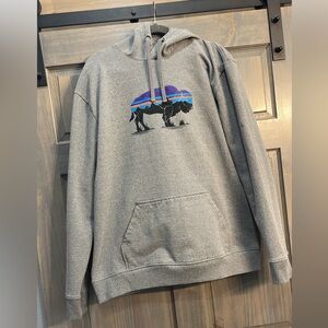 Patagonia Hoodie